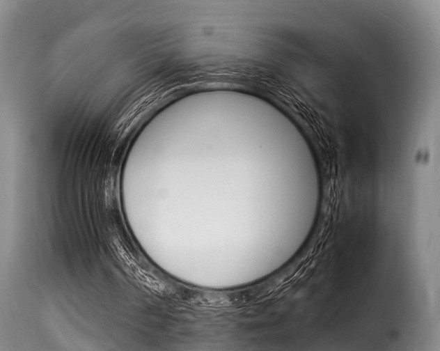 X0000116060194200911201208