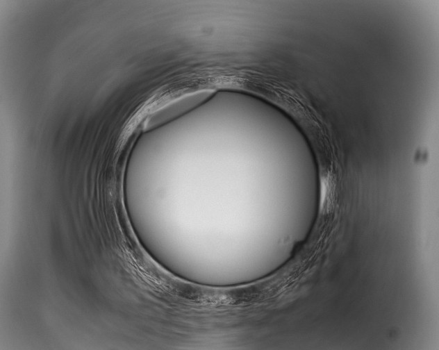X0000116060195200911201208