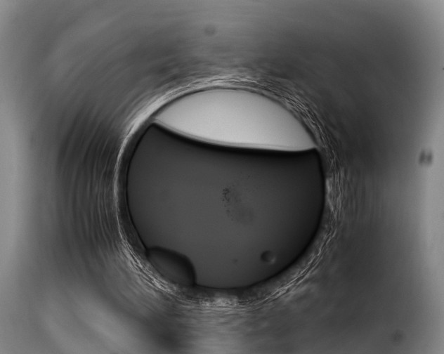 X0000116060196200911201208