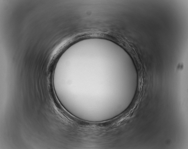 X0000116060197200911201208