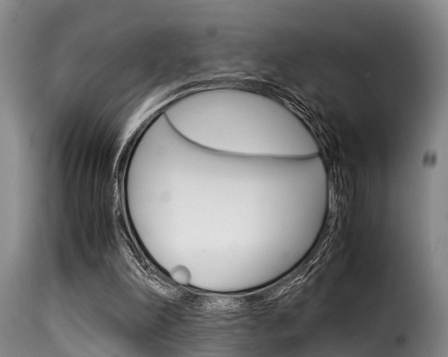 X0000116060198200911201208
