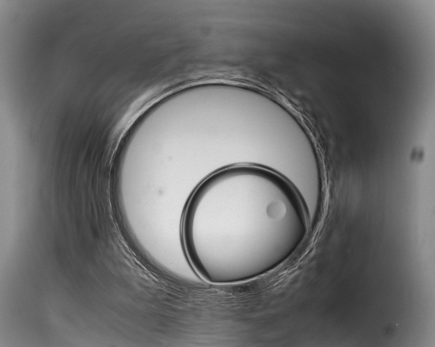 X0000116060199200911201208