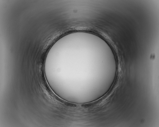 X0000116060201200911201208