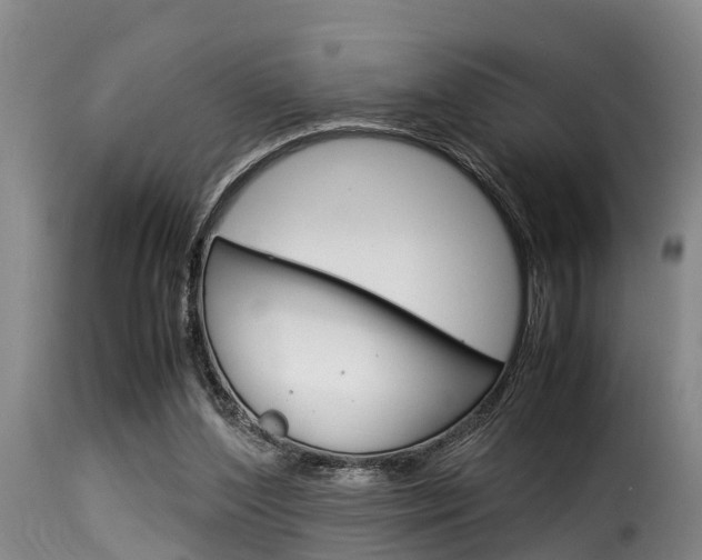 X0000116060204200911201208