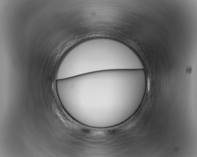 X0000116060205200911201208