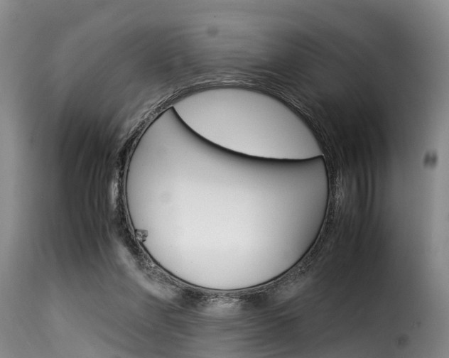 X0000116060206200911201208