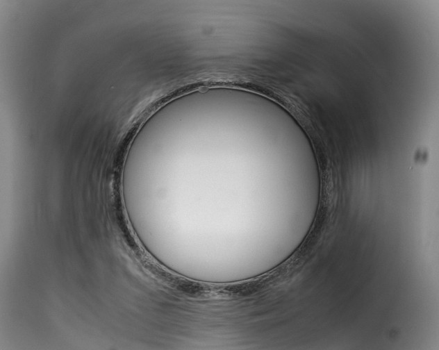 X0000116060207200911201208