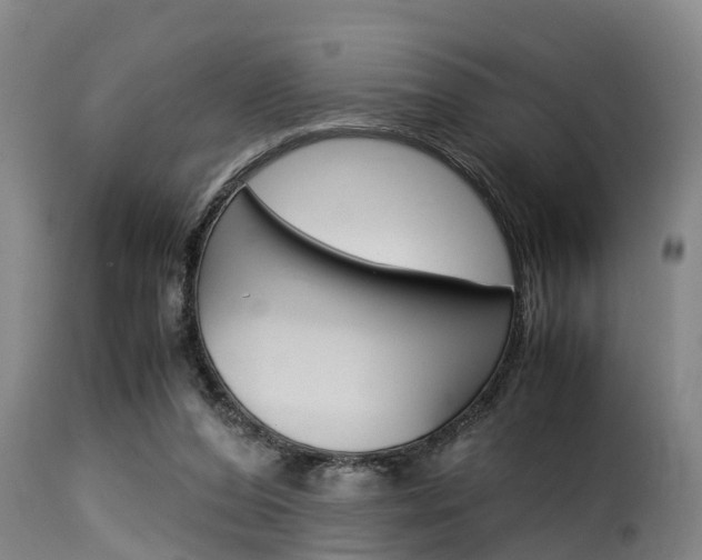 X0000116060208200911201208