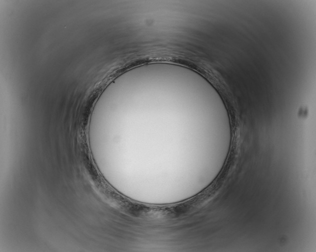 X0000116060209200911201208