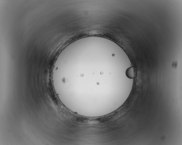 X0000116060210200911201208