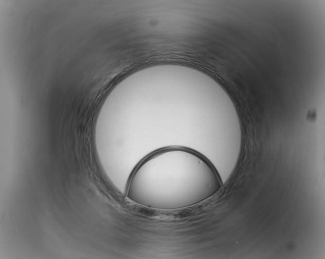 X0000116060211200911201208