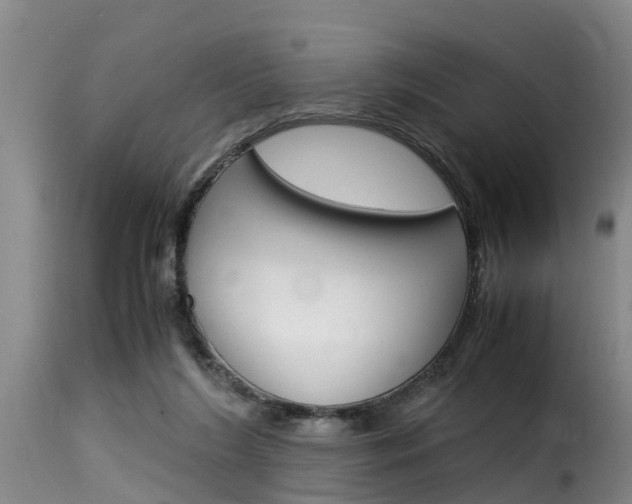 X0000116060212200911201208