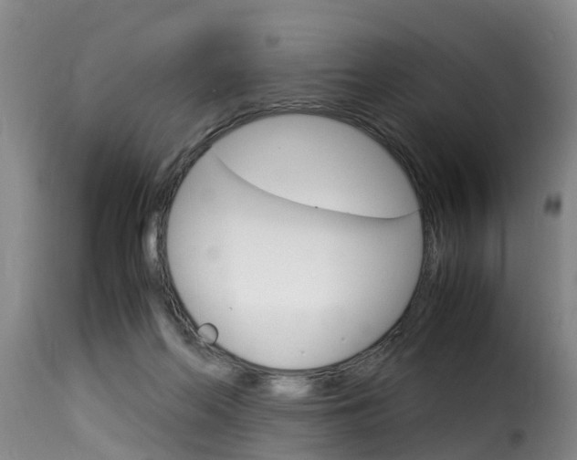 X0000116060214200911201208