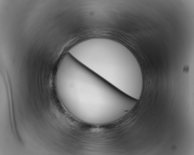 X0000116060216200911201208