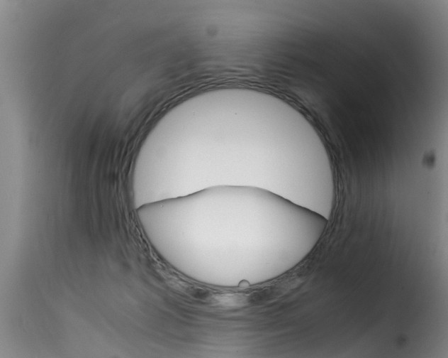 X0000116060221200911201208