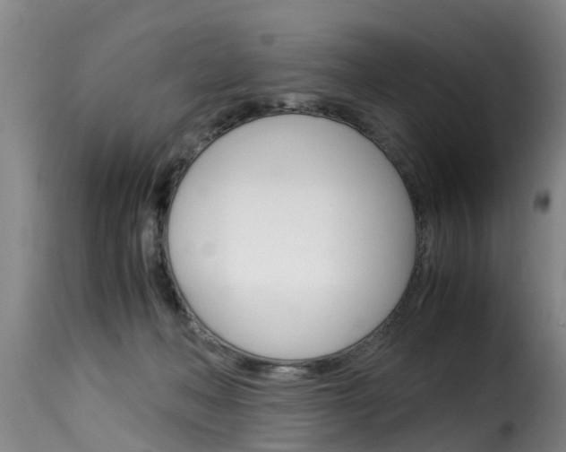 X0000116060222200911201208