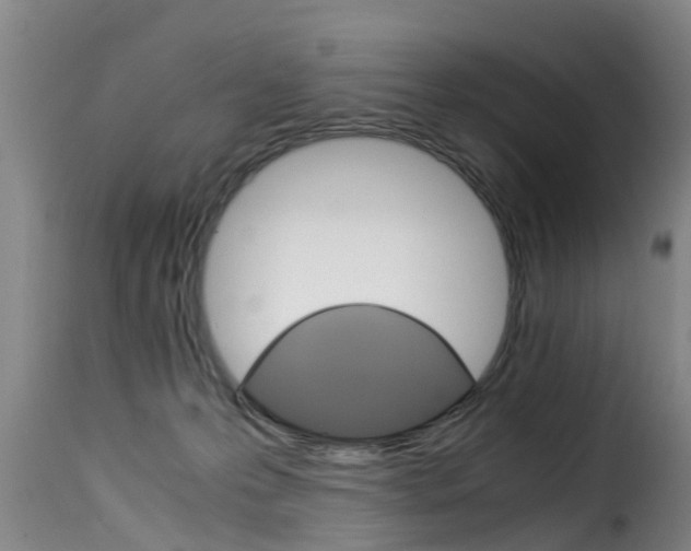 X0000116060223200911201208