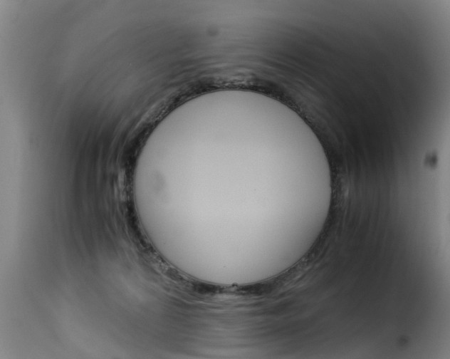 X0000116060224200911201208