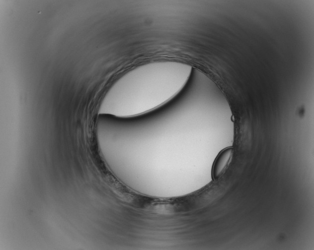 X0000116060228200911201208