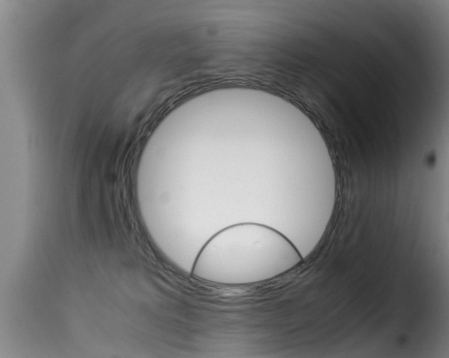 X0000116060229200911201208