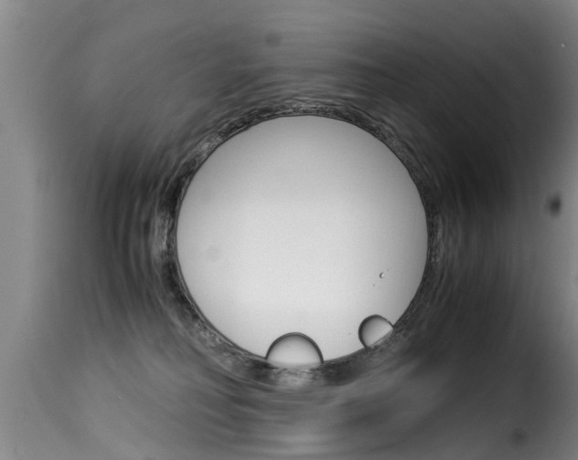 X0000116060230200911201208