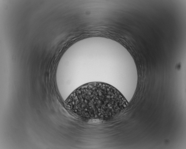 X0000116060231200911201208