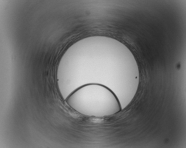 X0000116060233200911201208