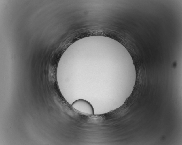 X0000116060234200911201208