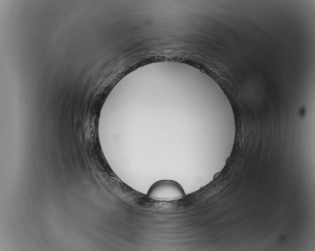 X0000116060236200911201208