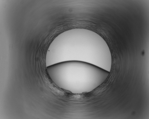 X0000116060237200911201208