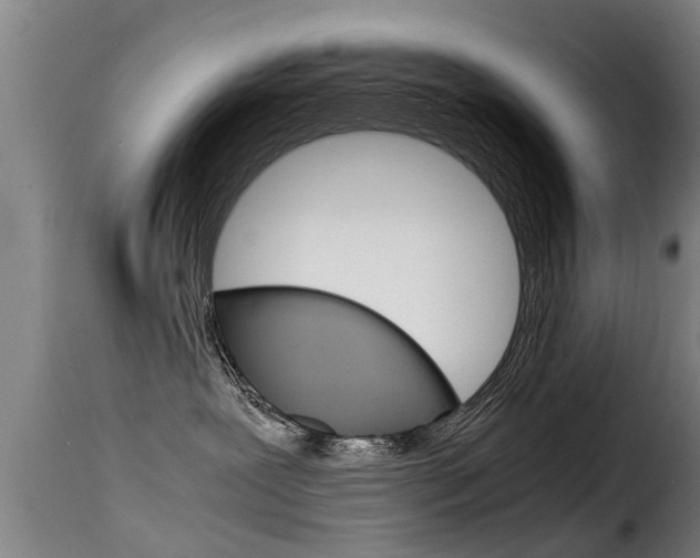 X0000116060239200911201208