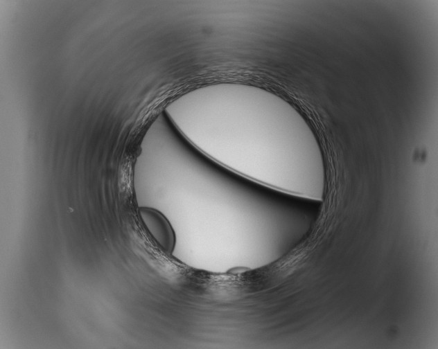 X0000116060240200911201208