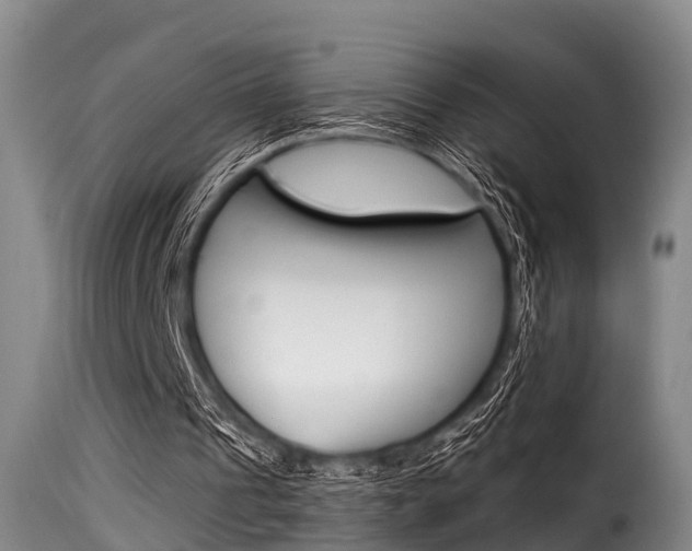 X0000116060241200911201207