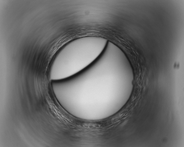 X0000116060242200911201207