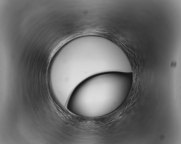 X0000116060244200911201207