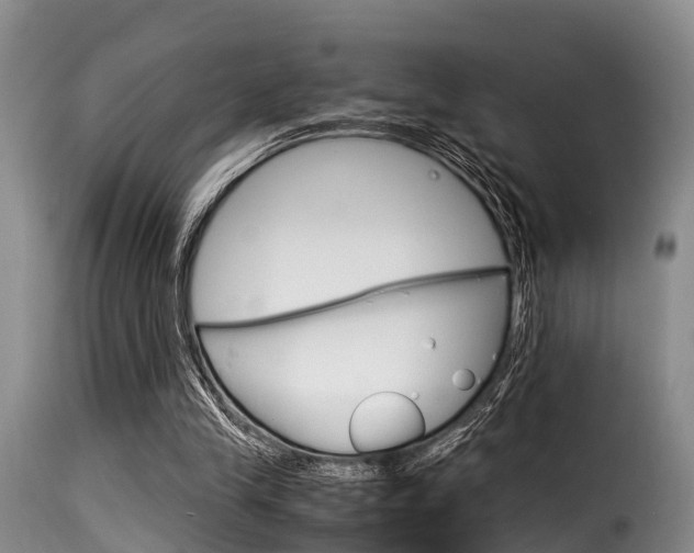 X0000116060245200911201207