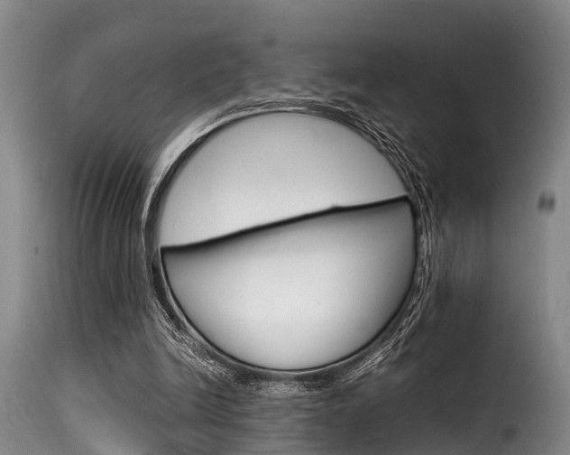 X0000116060246200911201207