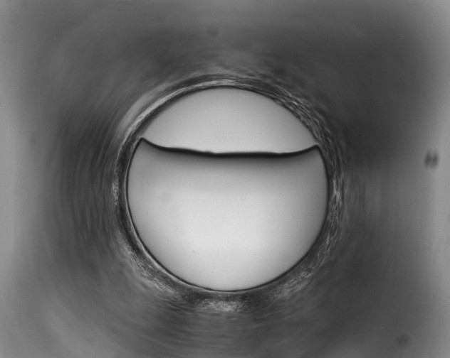 X0000116060247200911201207
