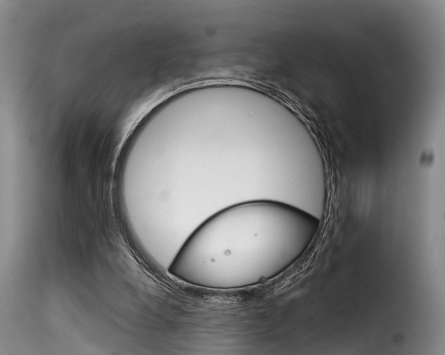 X0000116060248200911201207