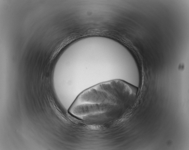 X0000116060250200911201207