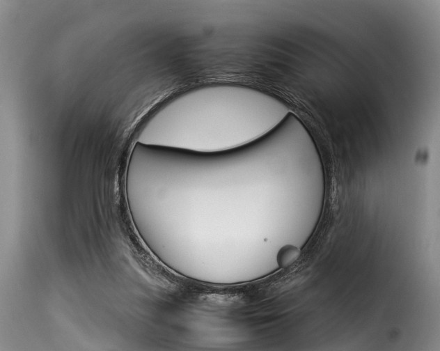 X0000116060251200911201207