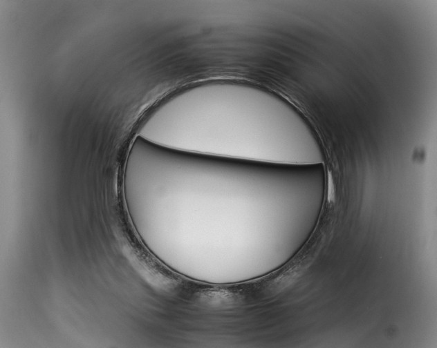 X0000116060253200911201207