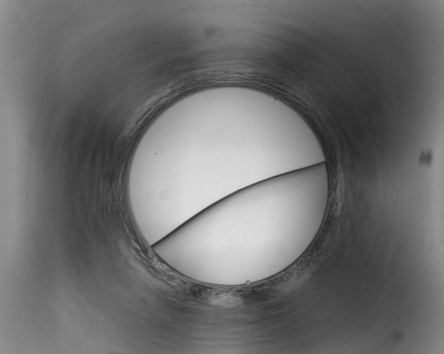 X0000116060258200911201207
