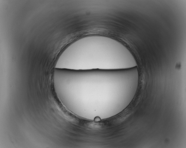 X0000116060261200911201207