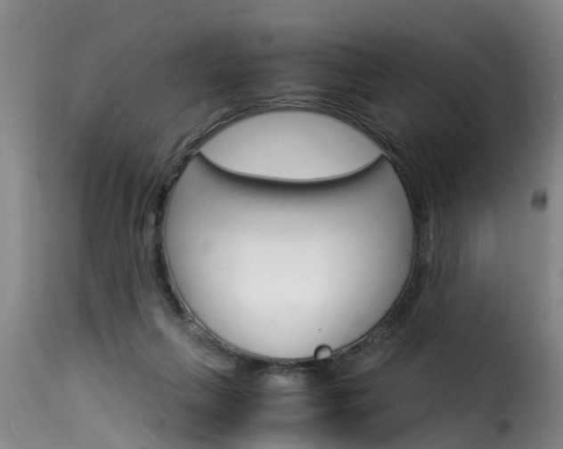 X0000116060263200911201207