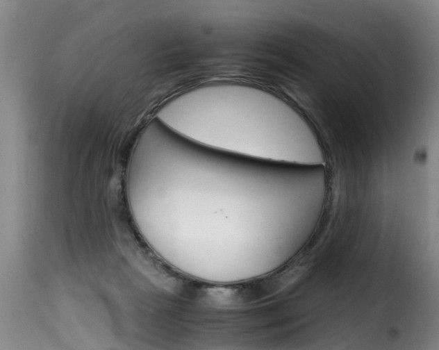 X0000116060265200911201207