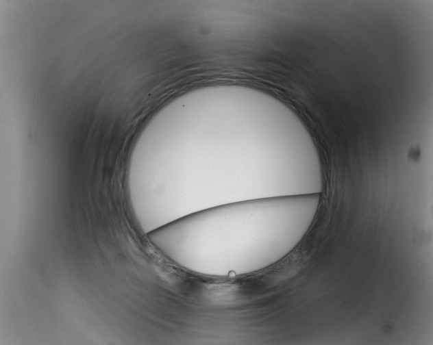 X0000116060266200911201207