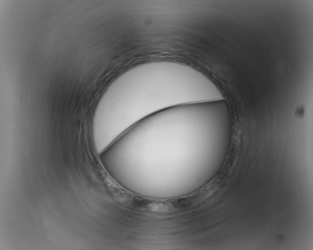 X0000116060272200911201207