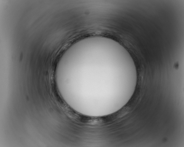 X0000116060274200911201207