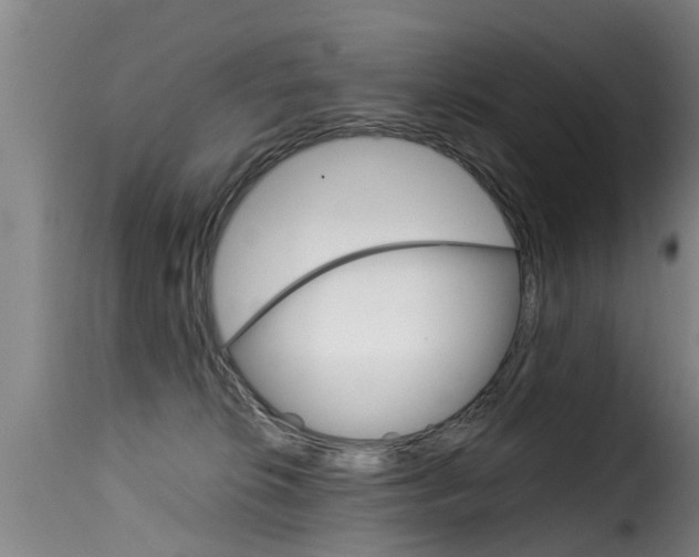 X0000116060276200911201207